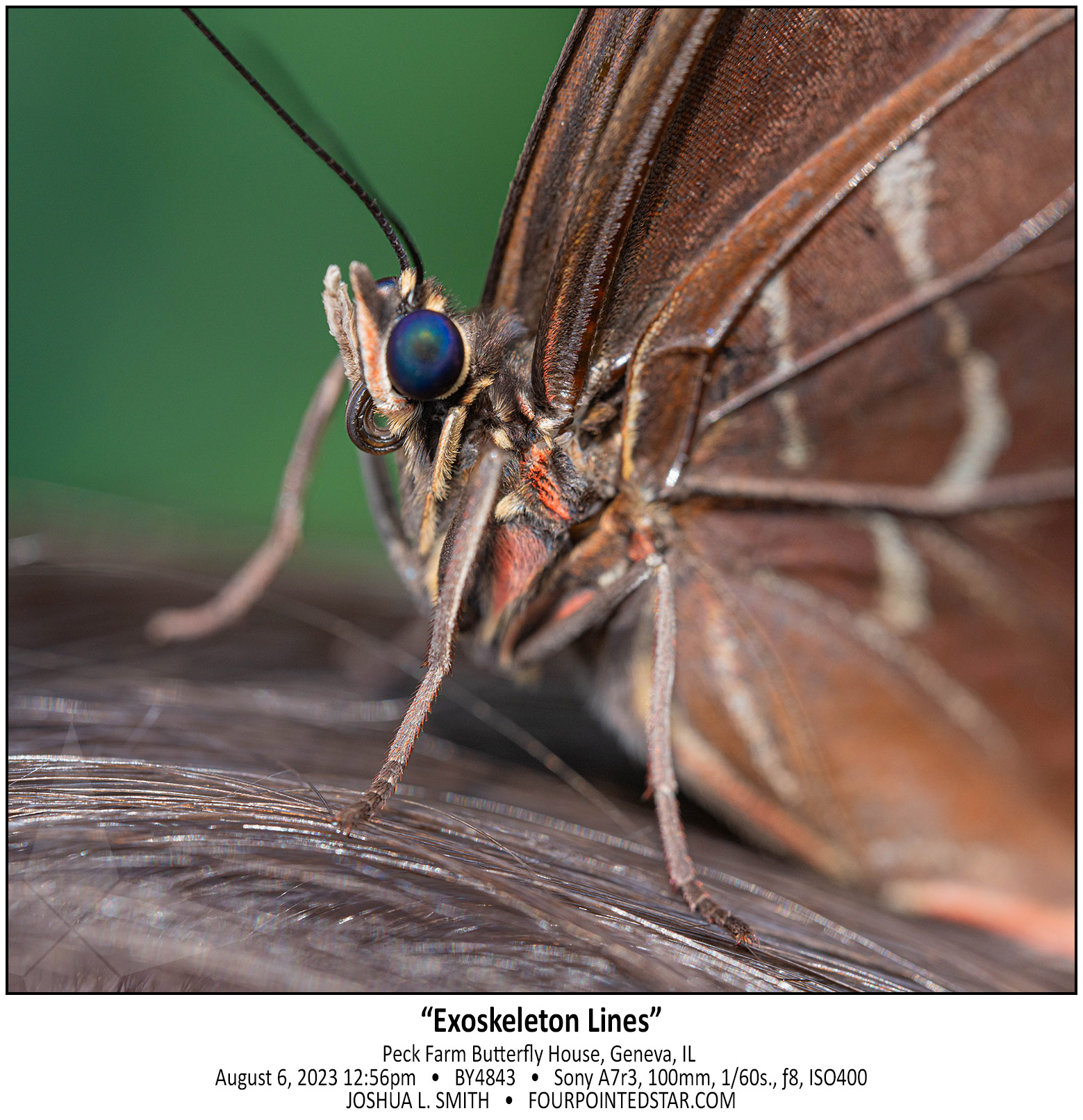 BY4843 230806 125609