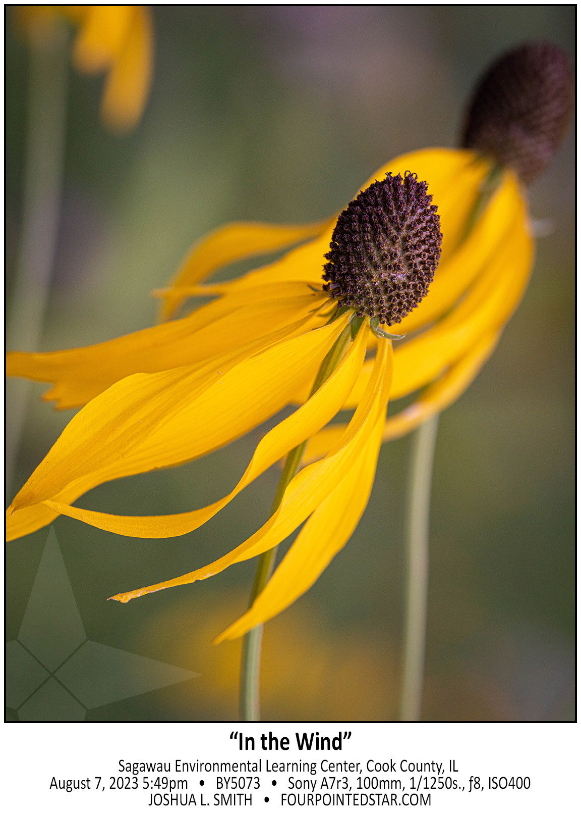 BY5073 230807 174917