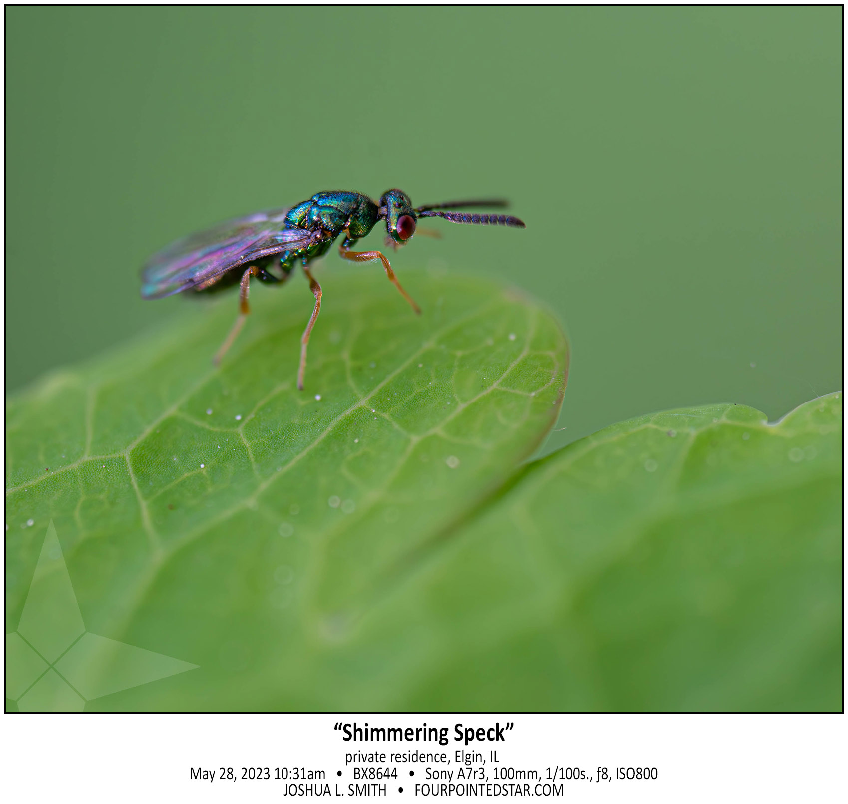 BY8644 230528 103125