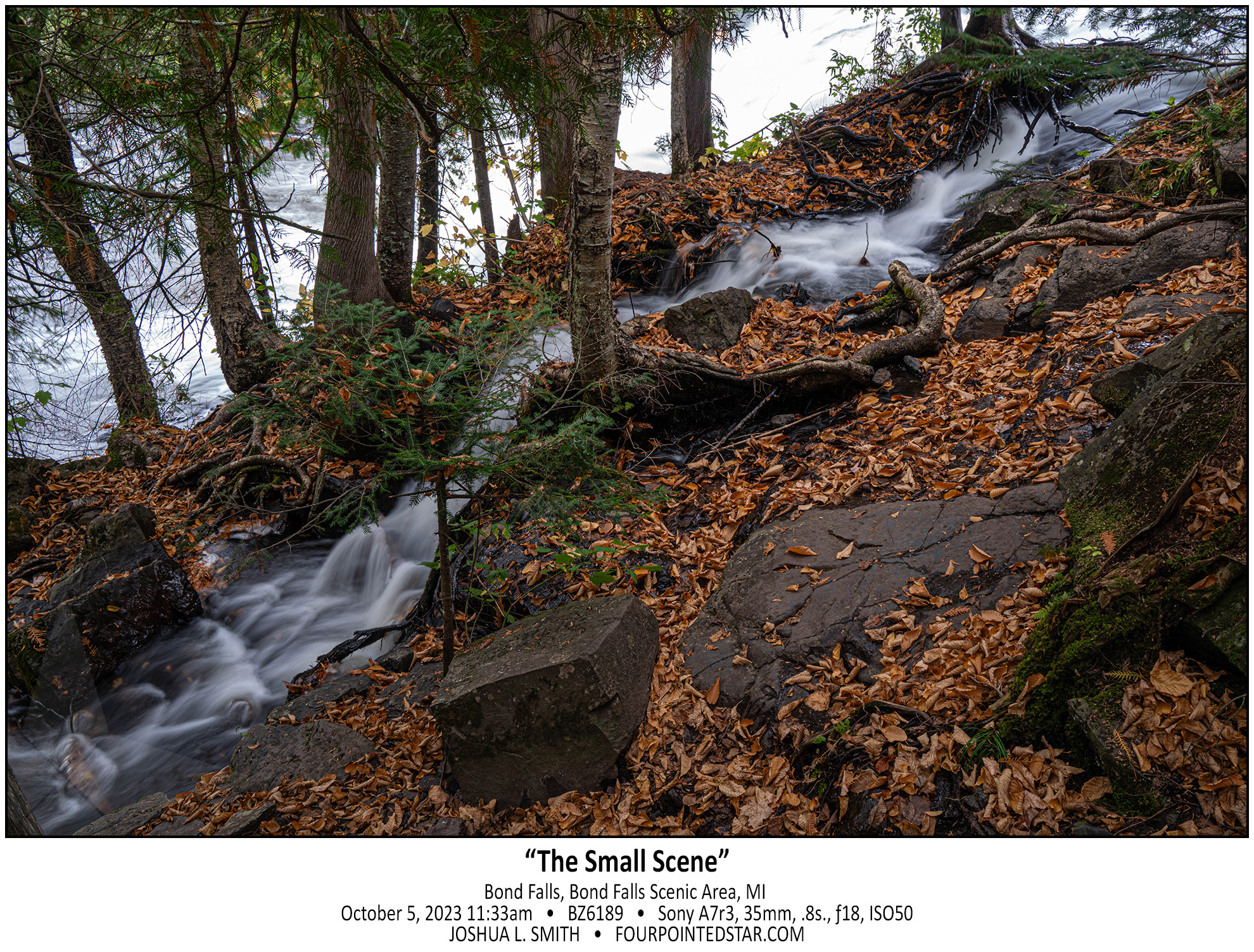 BZ6189 231005 113317