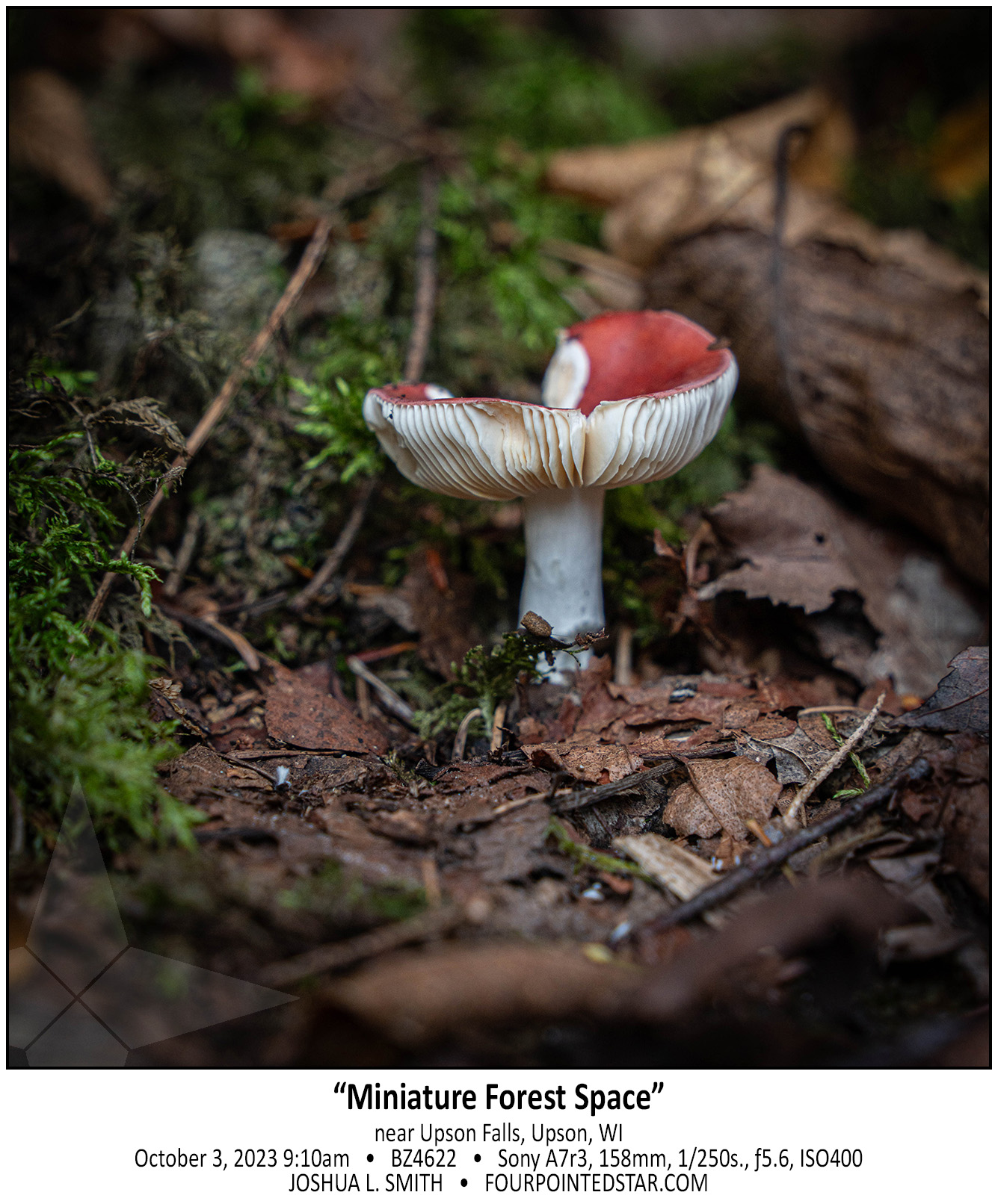 BZ4622 231003 091014