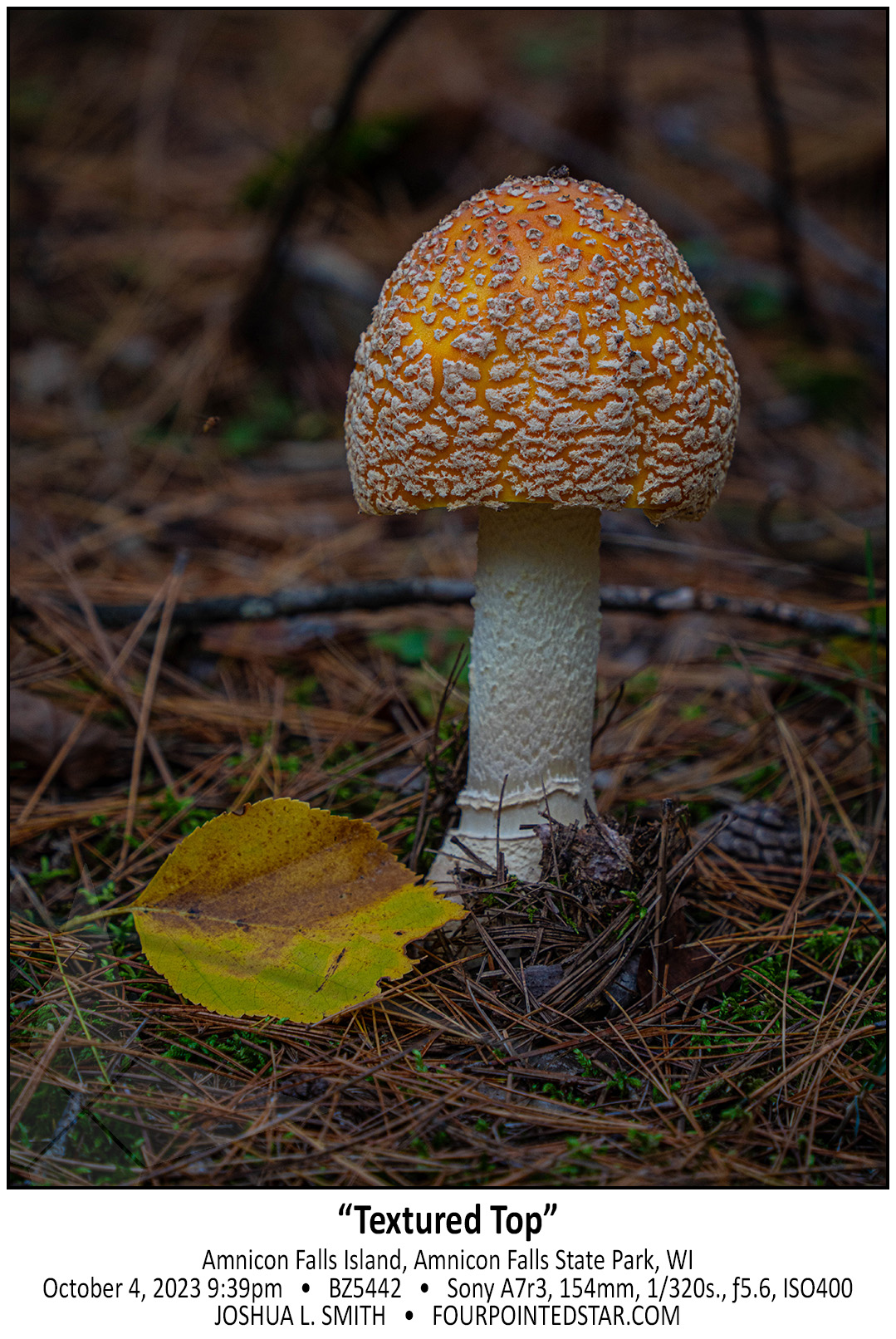 BZ5442 231004 093948