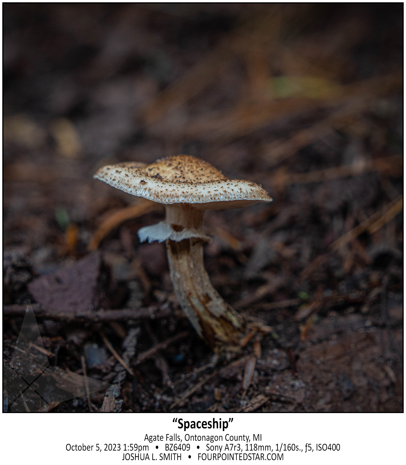 BZ6409 231005 135915