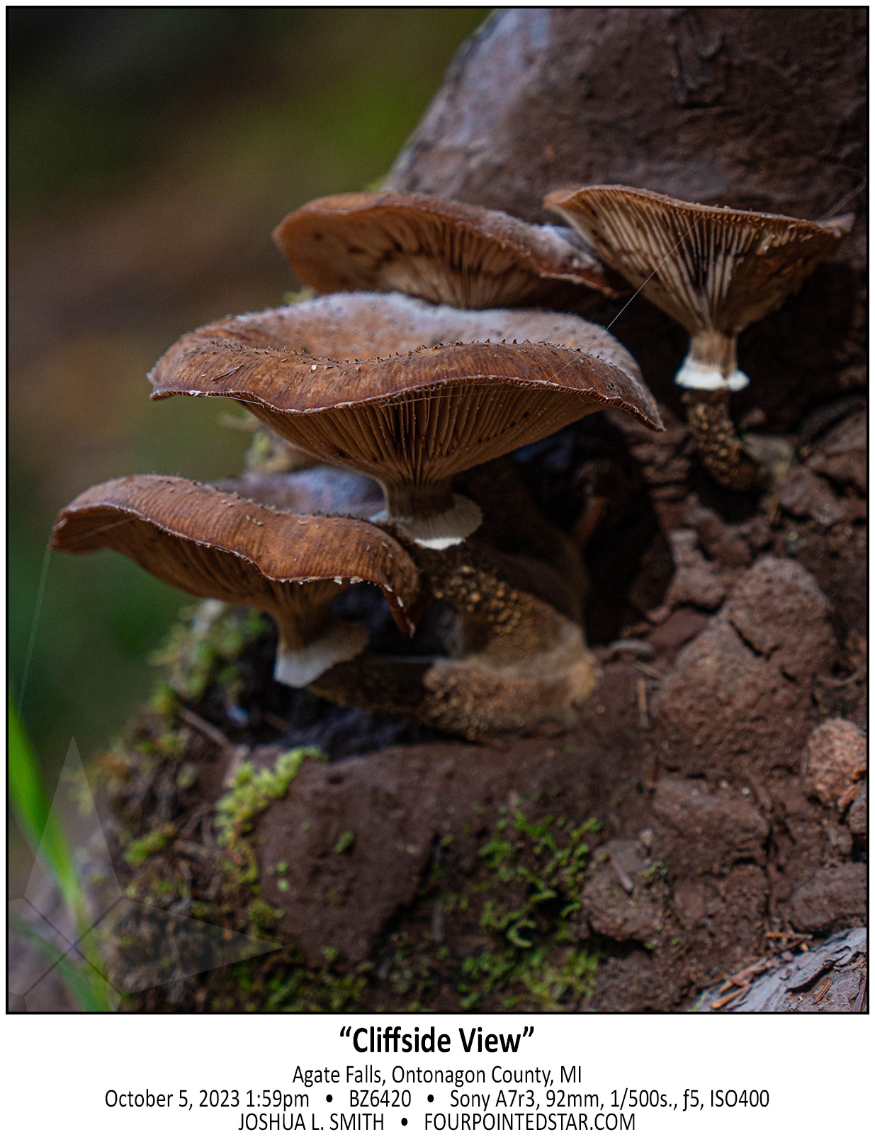 BZ6420 231005 135939