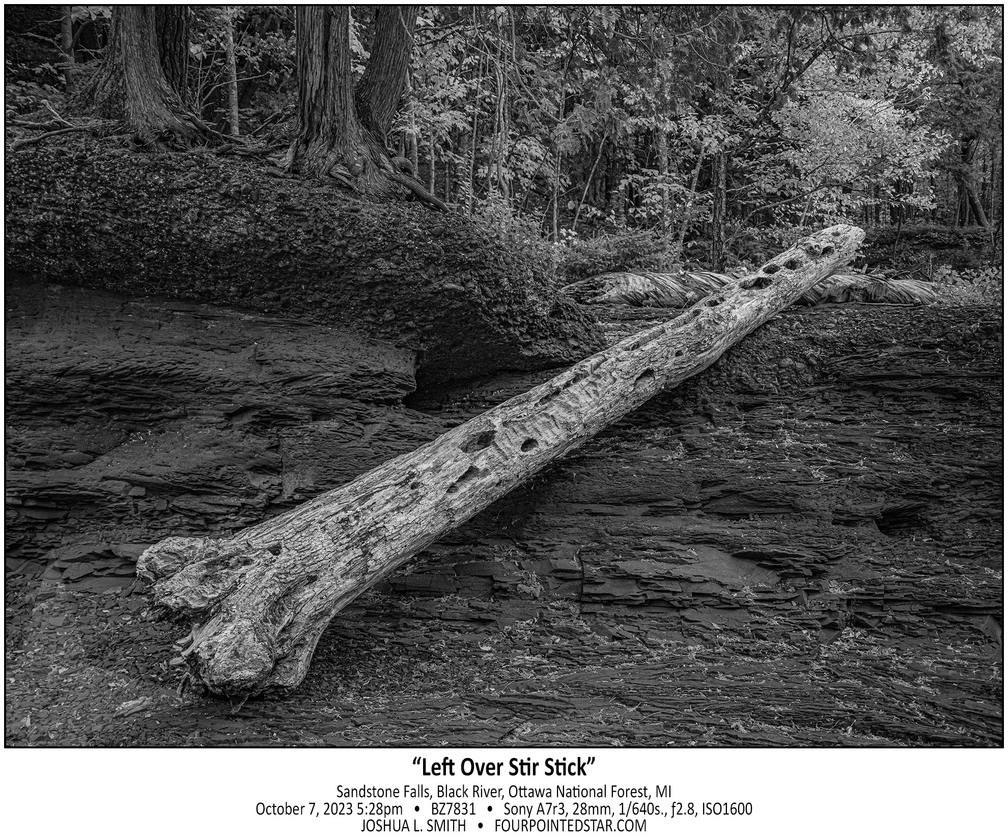 BZ7831 231007 172816