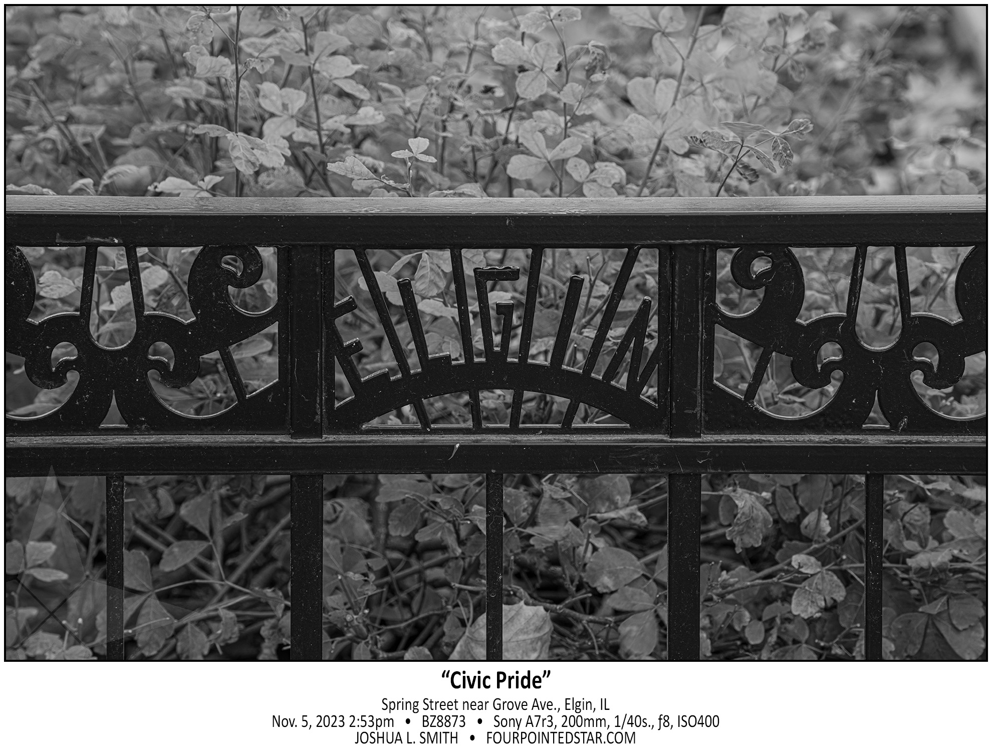 BZ8873 231105 145353