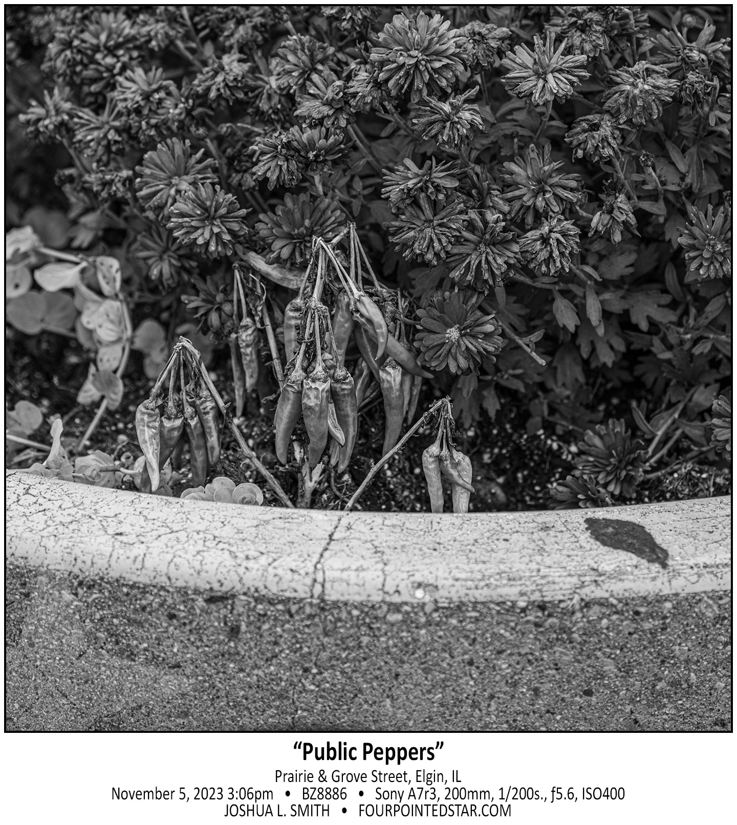 BZ8886 231105 150618