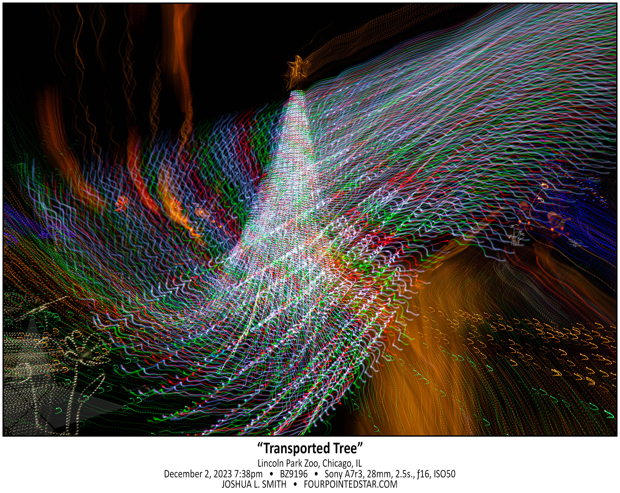 BZ9196 231202 193839