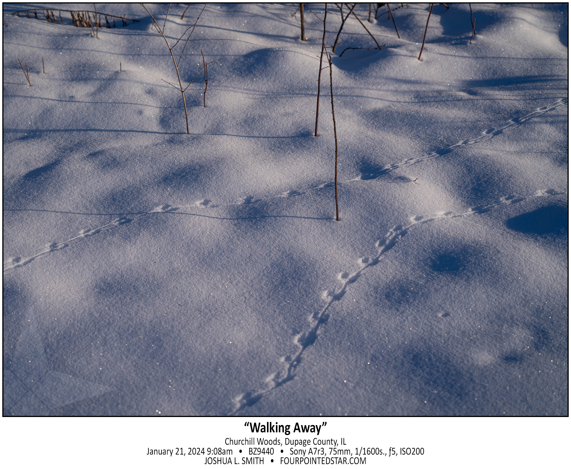 BZ9440 240221 090822