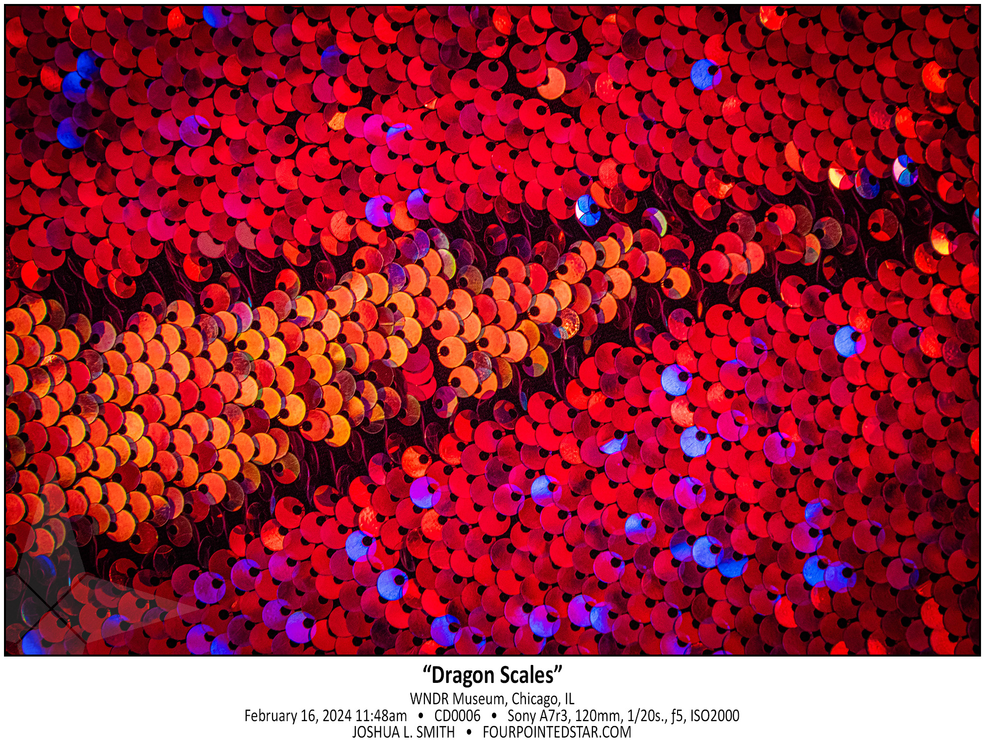 CD0006 240116 114839