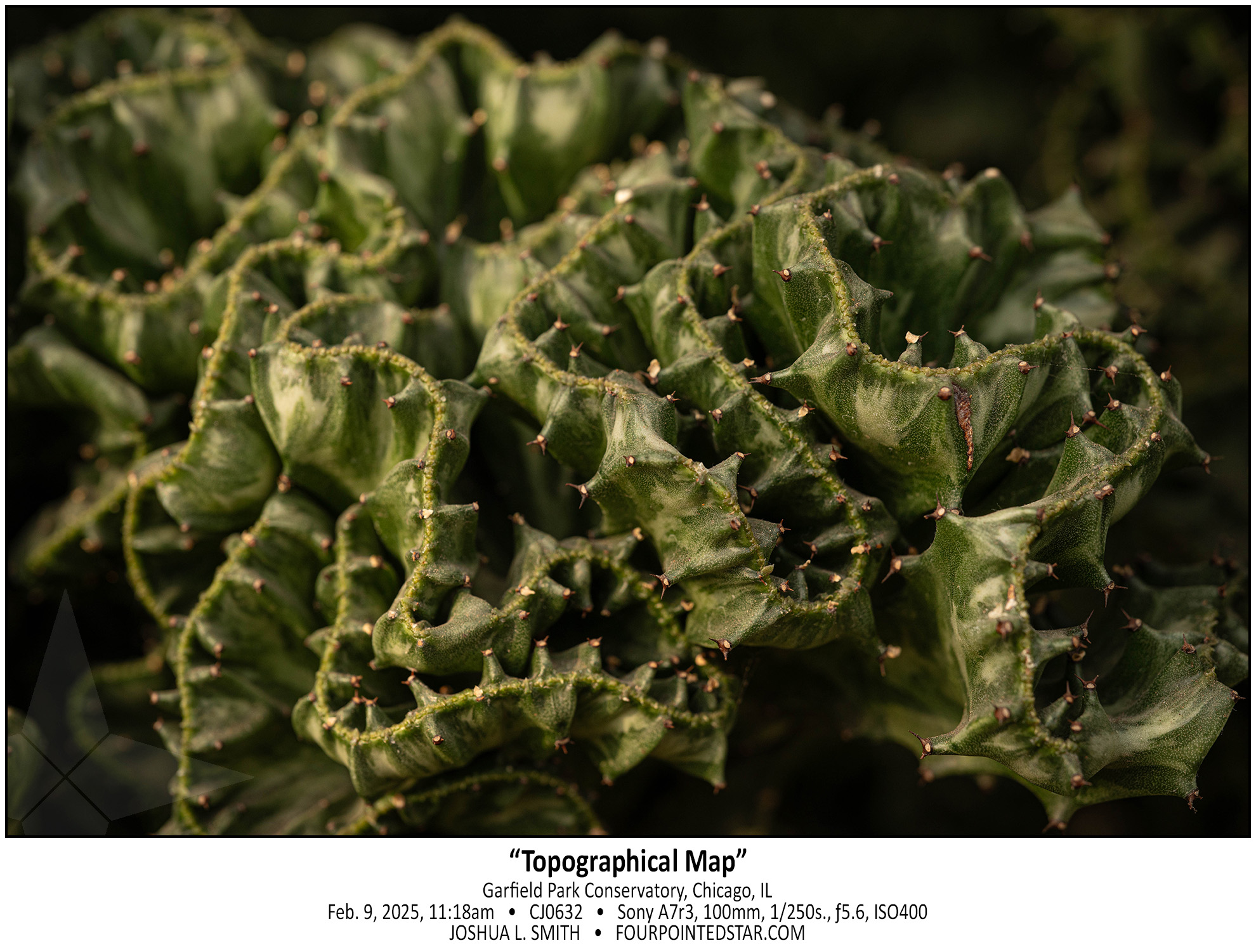 CJ0632 250209 111817