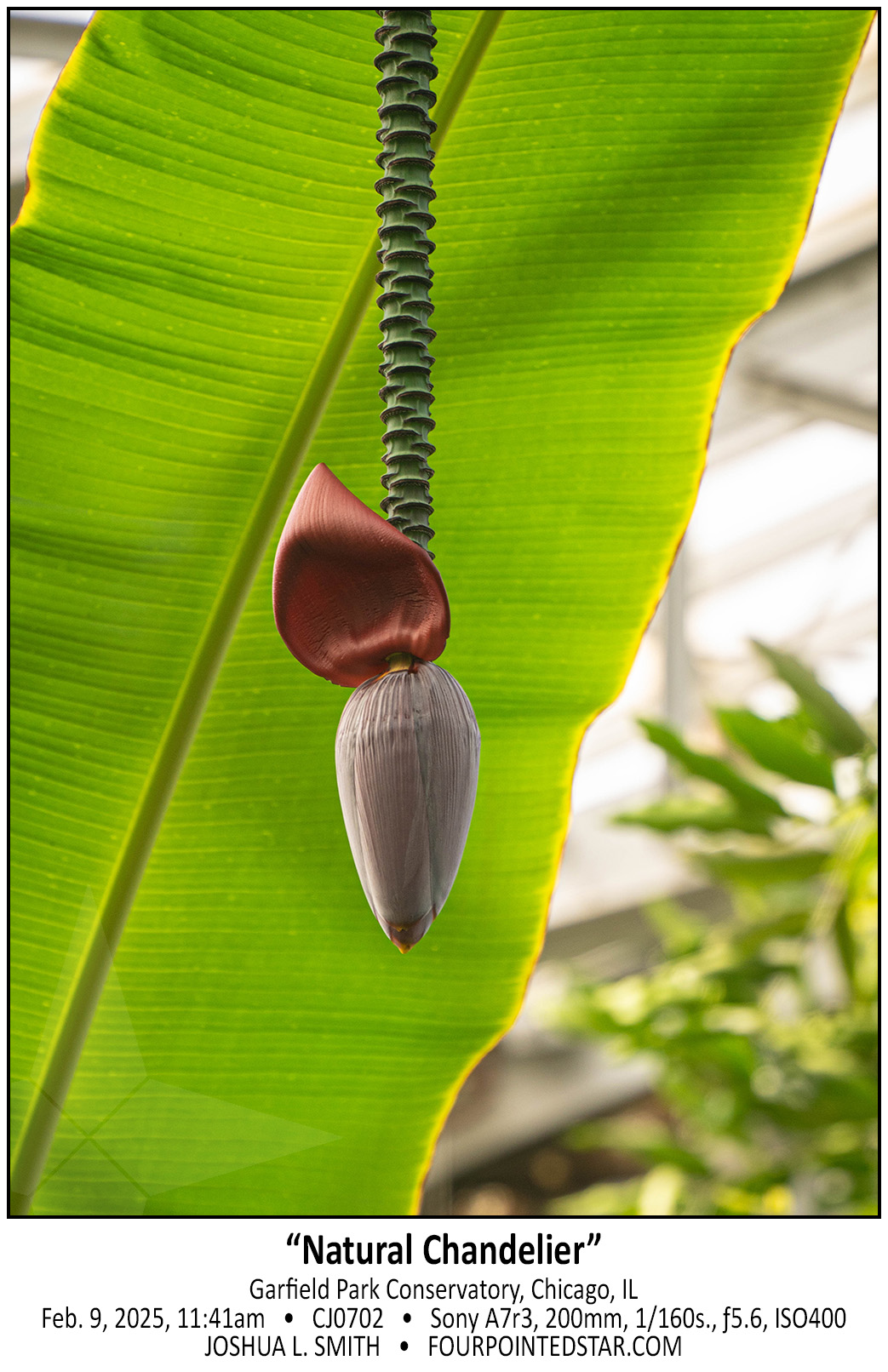 CJ0702 250209 114115