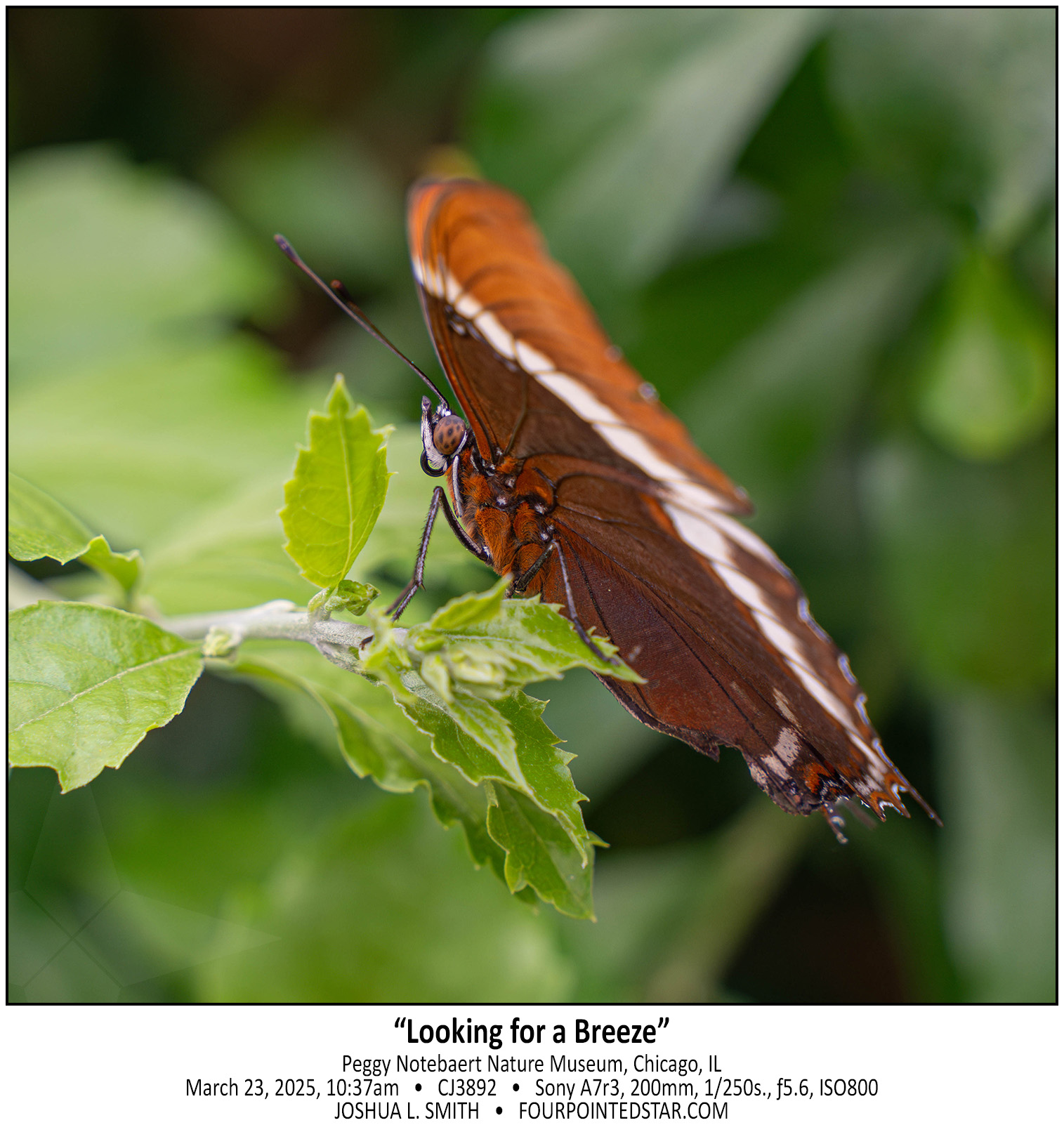 CJ3892 250323 093757