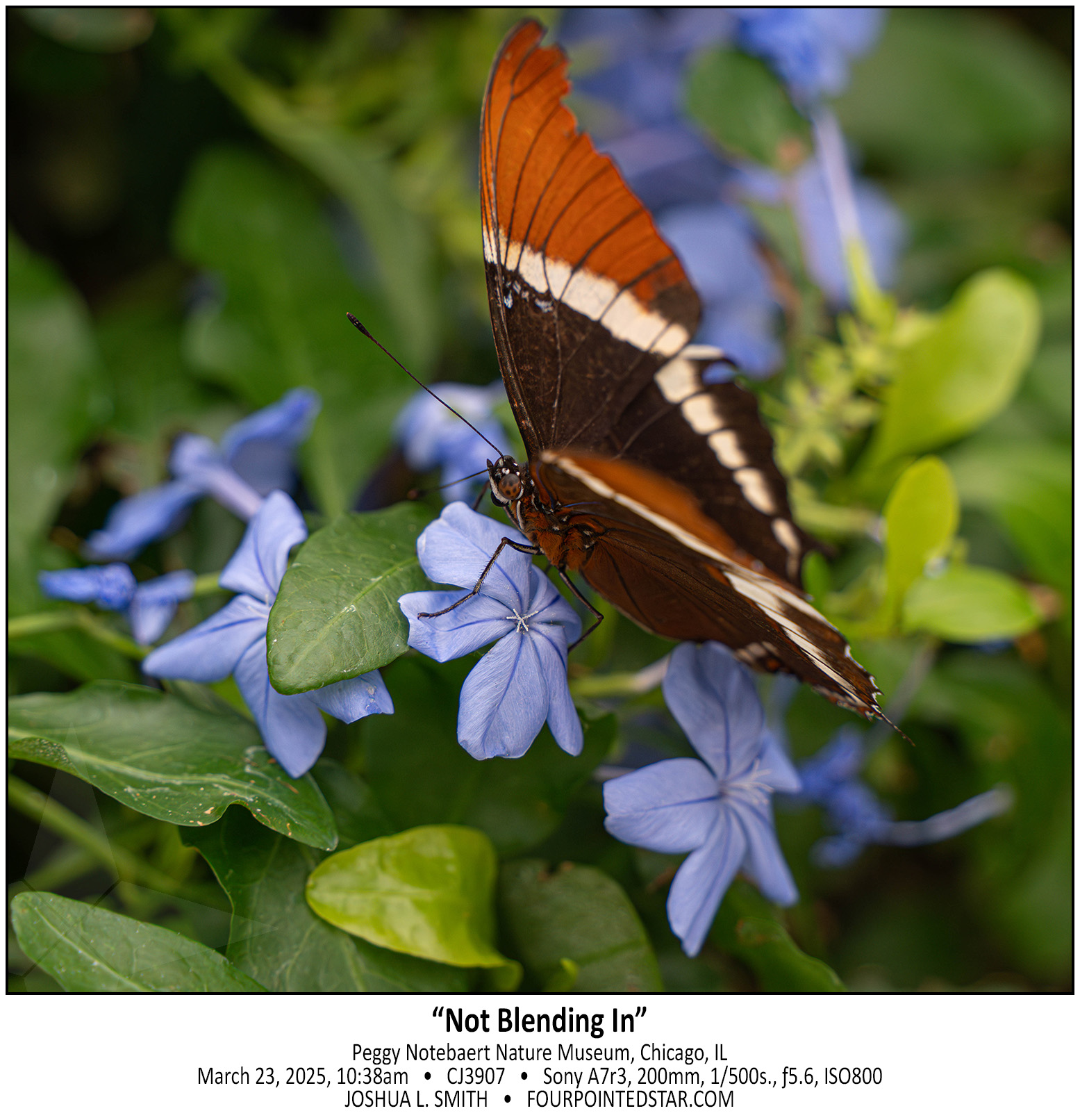 CJ3907 250323 093833