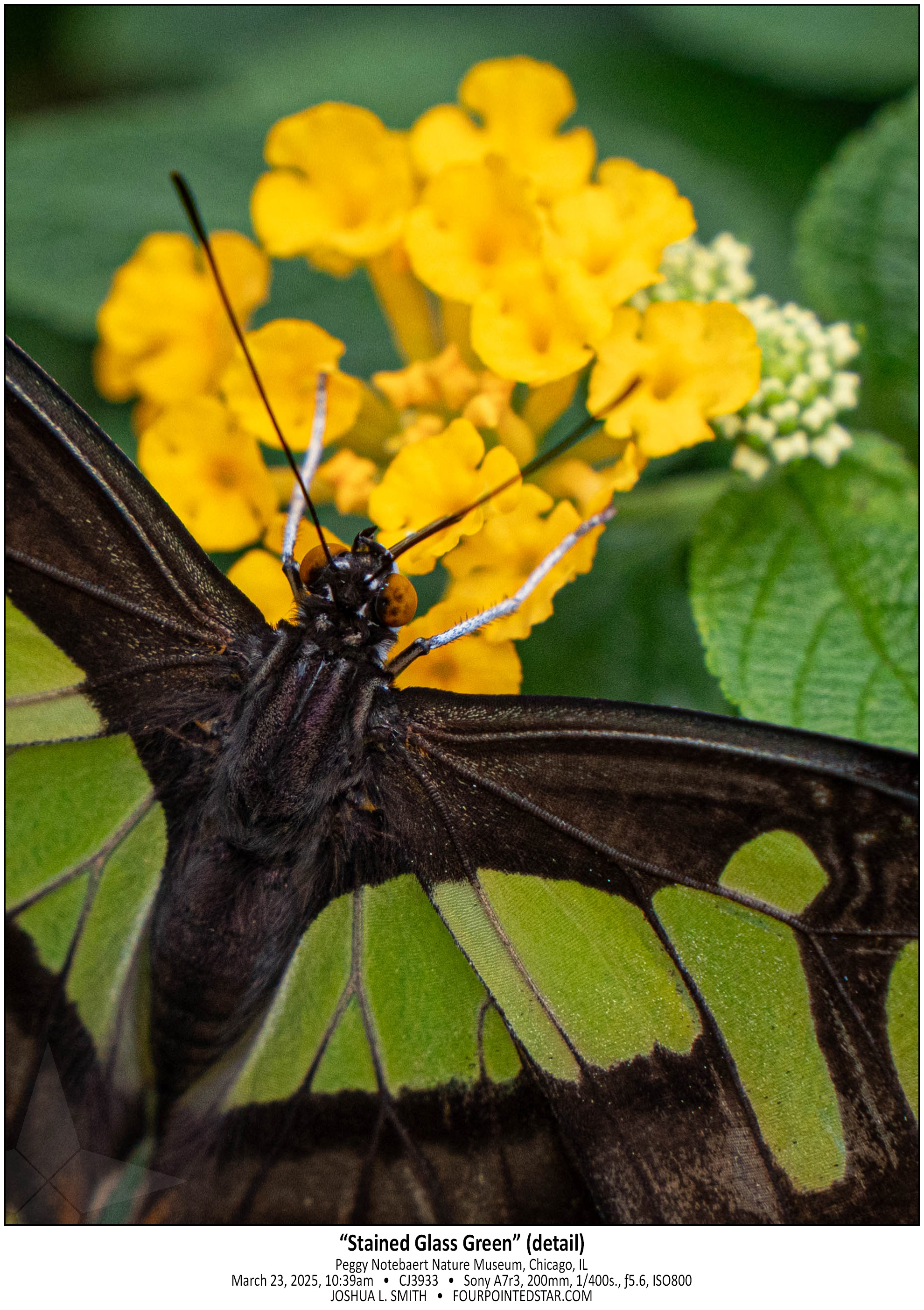 CJ3933 250323 093907-2