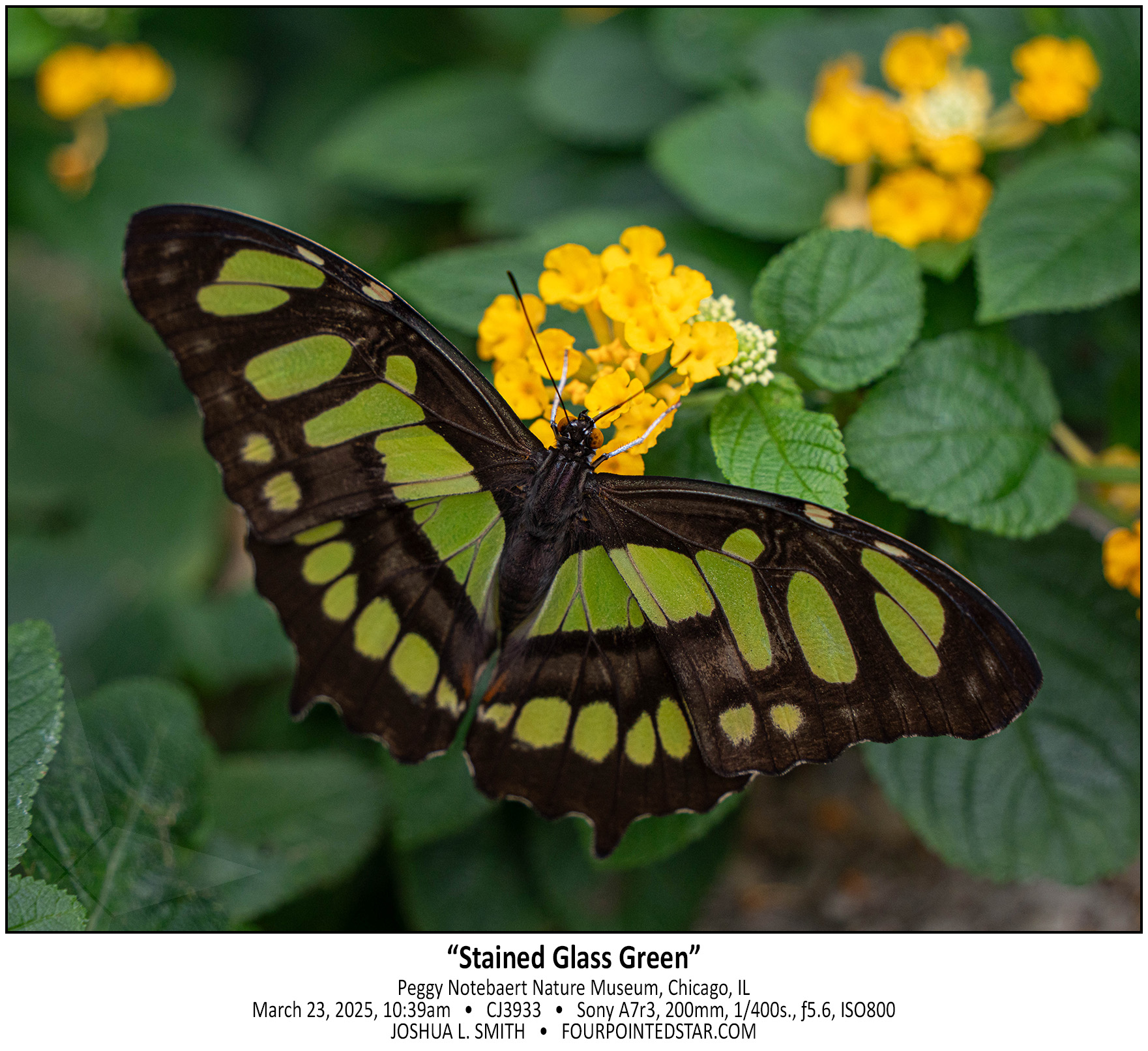 CJ3933 250323 093907