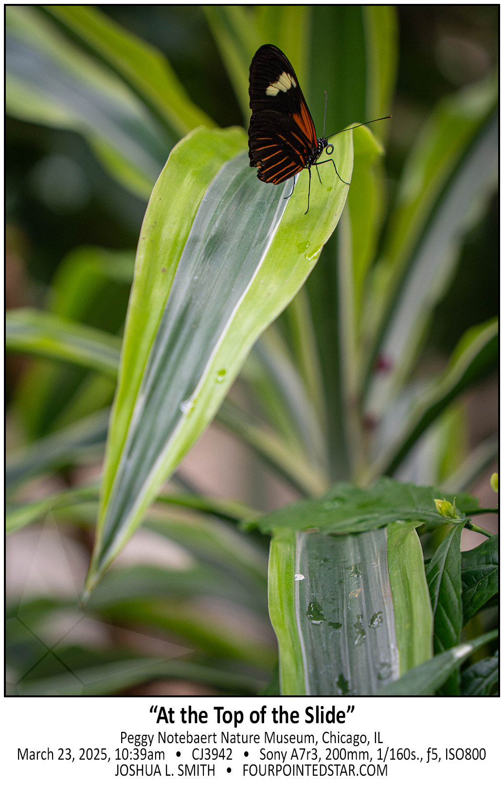 CJ3942 250323 093942