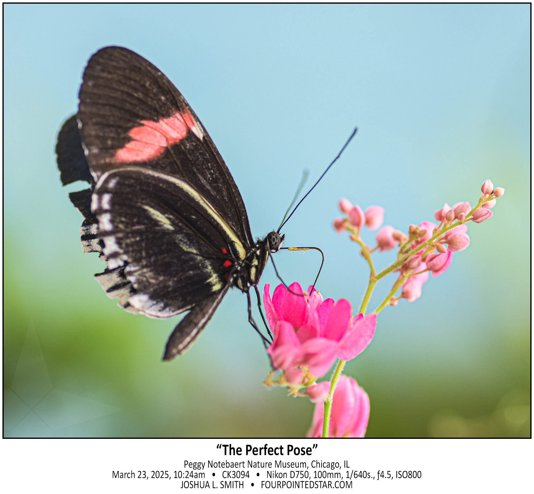 CK3094 250323 102459