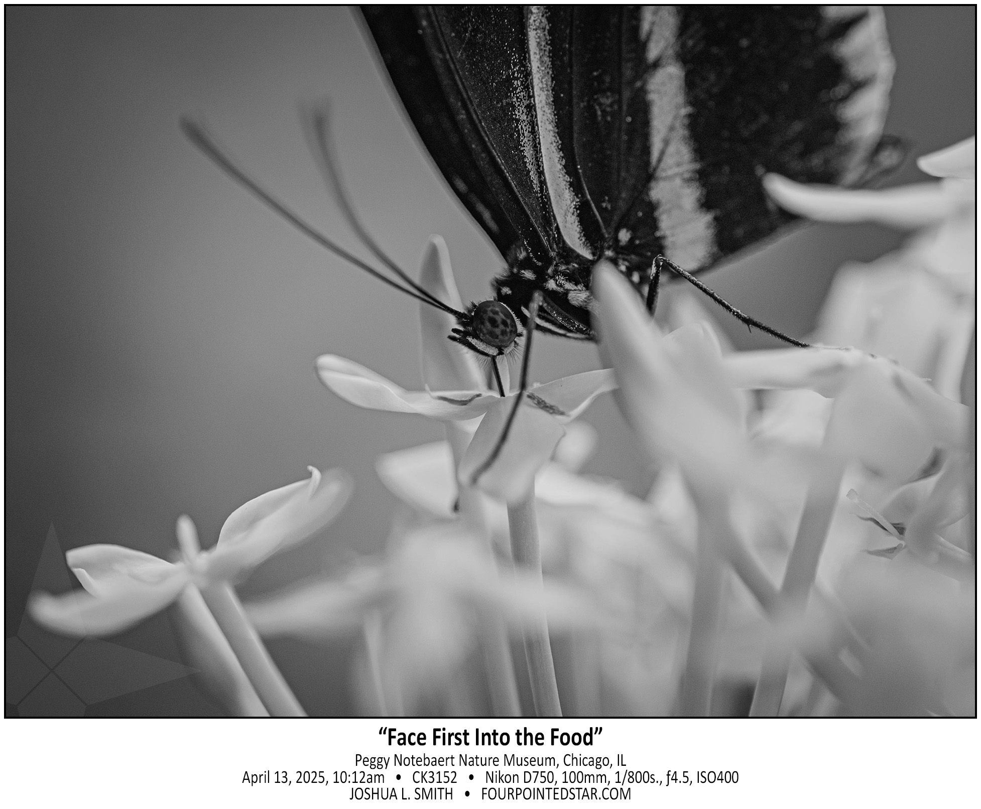 CK3152 250413 101245