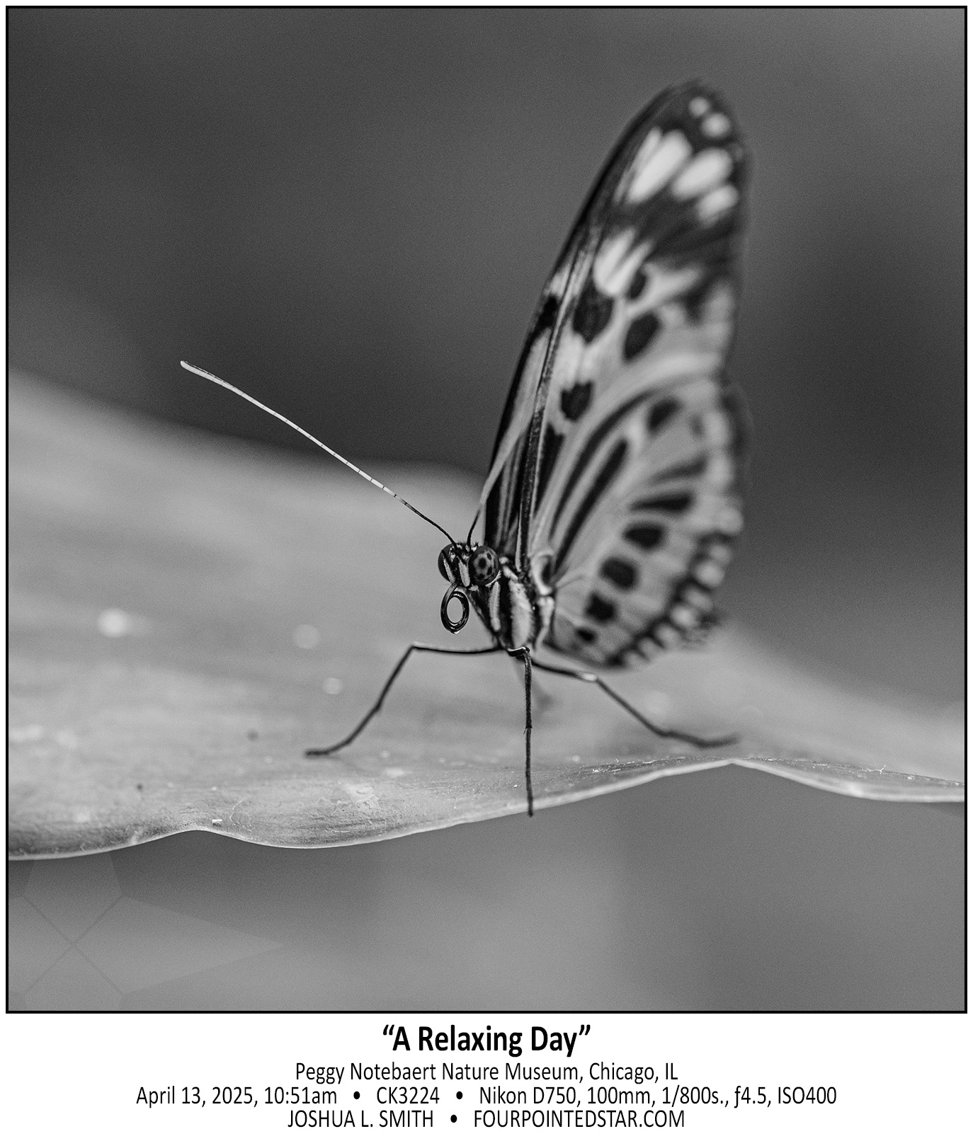 CK3224 250413 105146