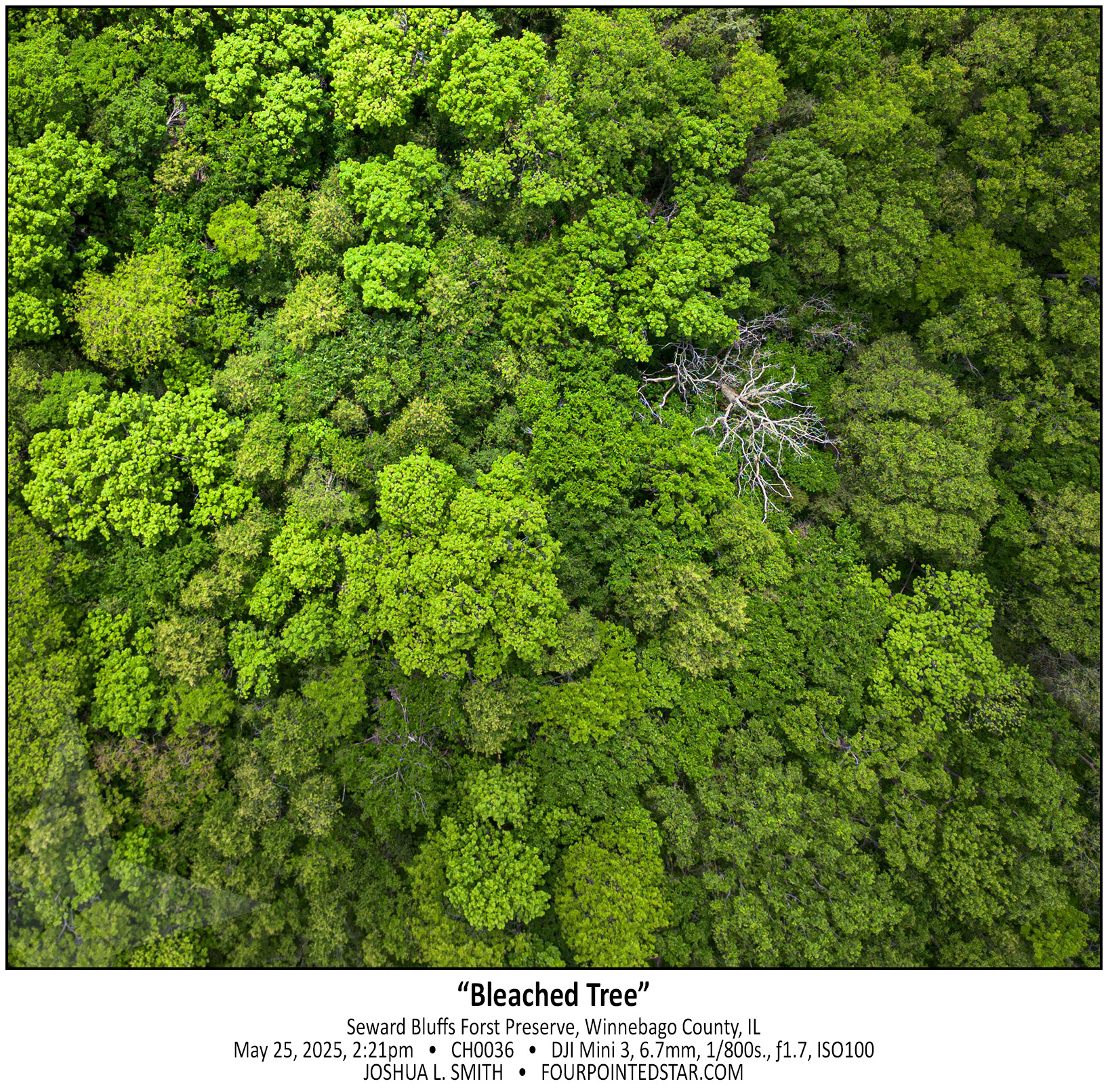 CH0036 250525 142107