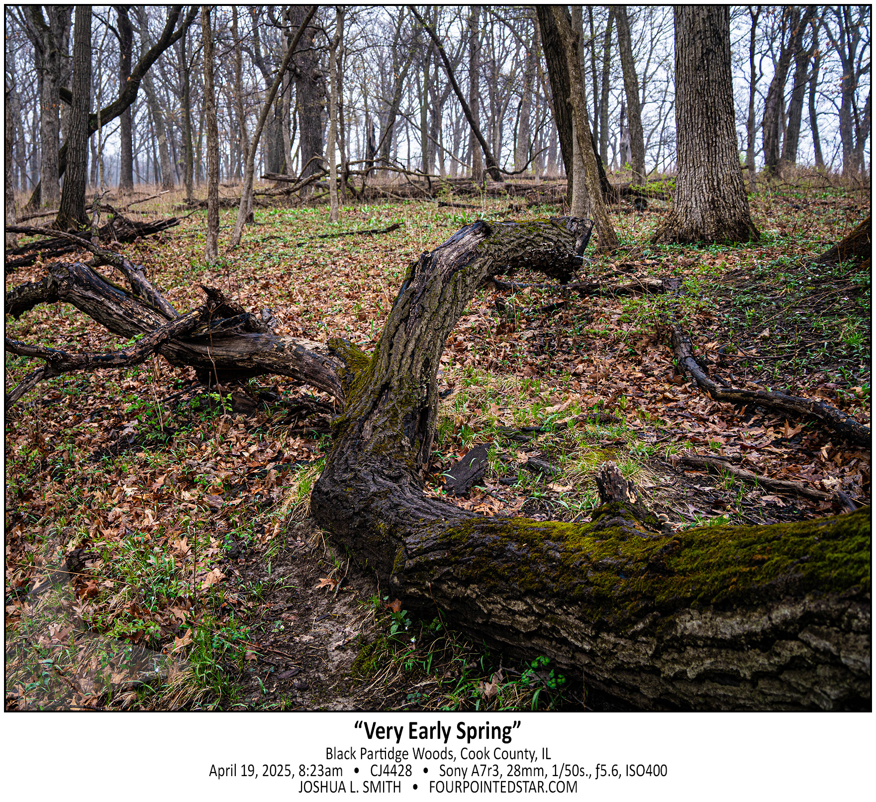 CJ4428-2 250419 072313