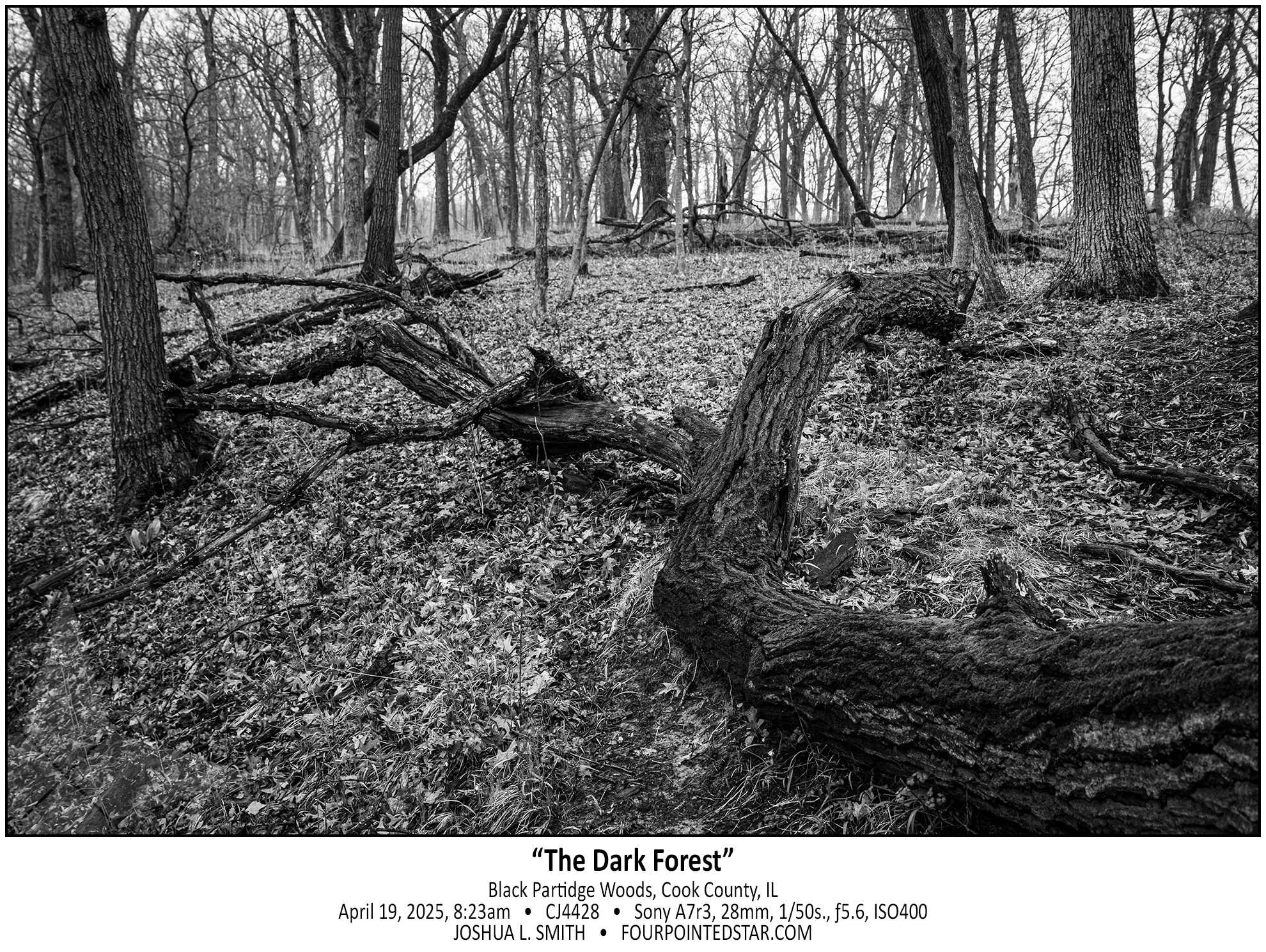 CJ4428 250419 072313