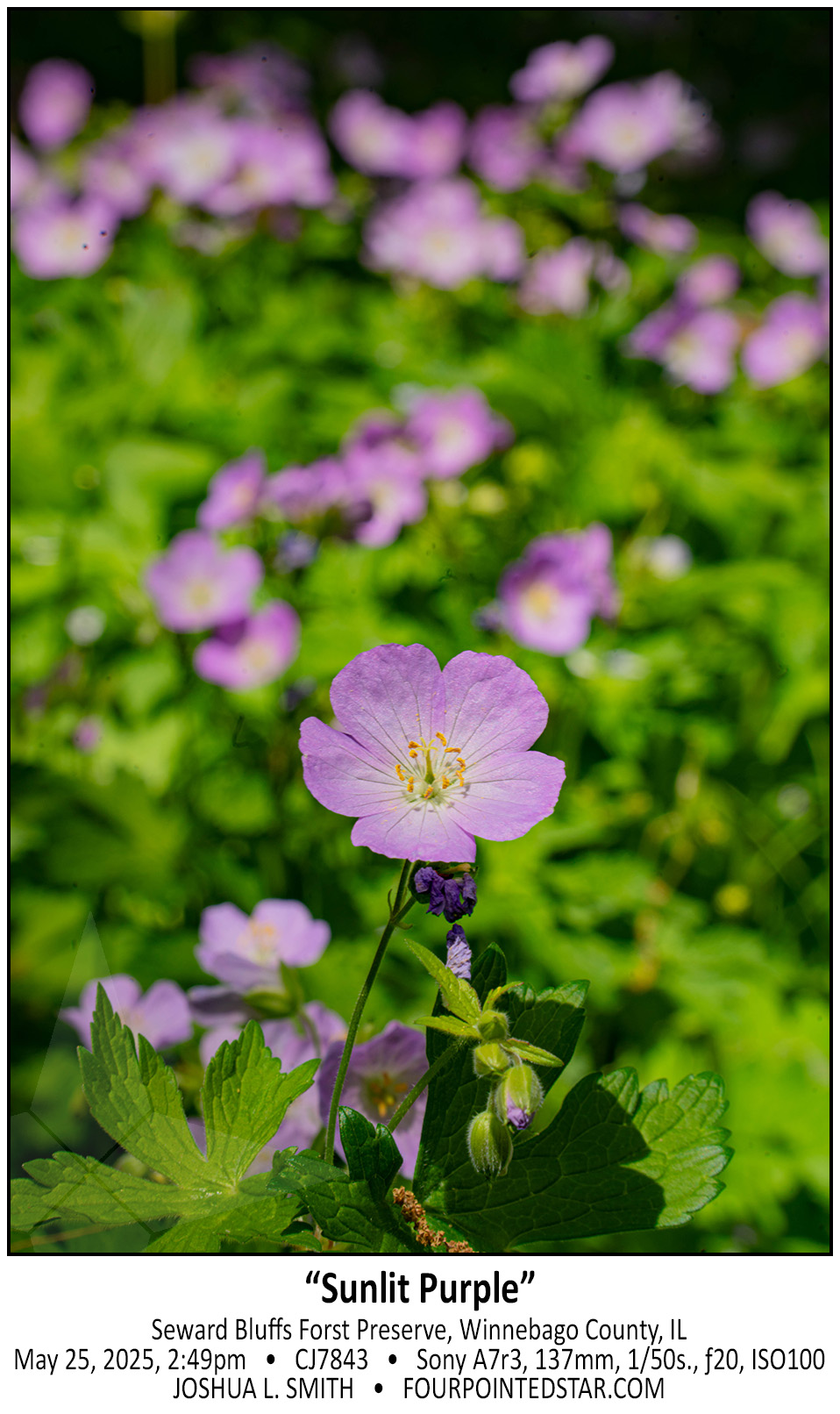 CJ7843 250525 144940