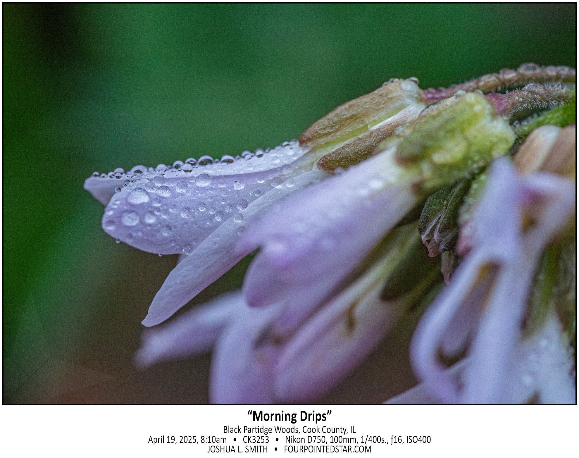 CK3253 250419 081015