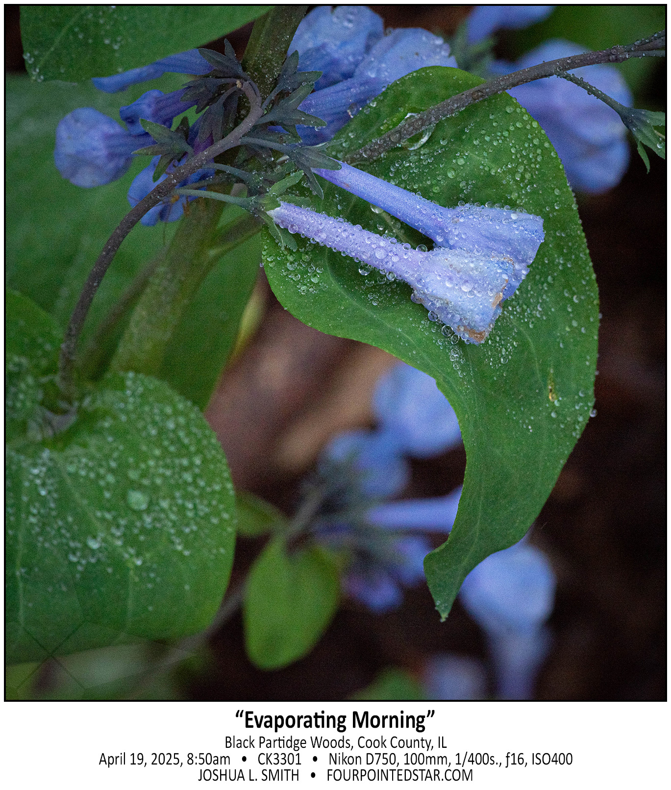 CK3301 250419 085006