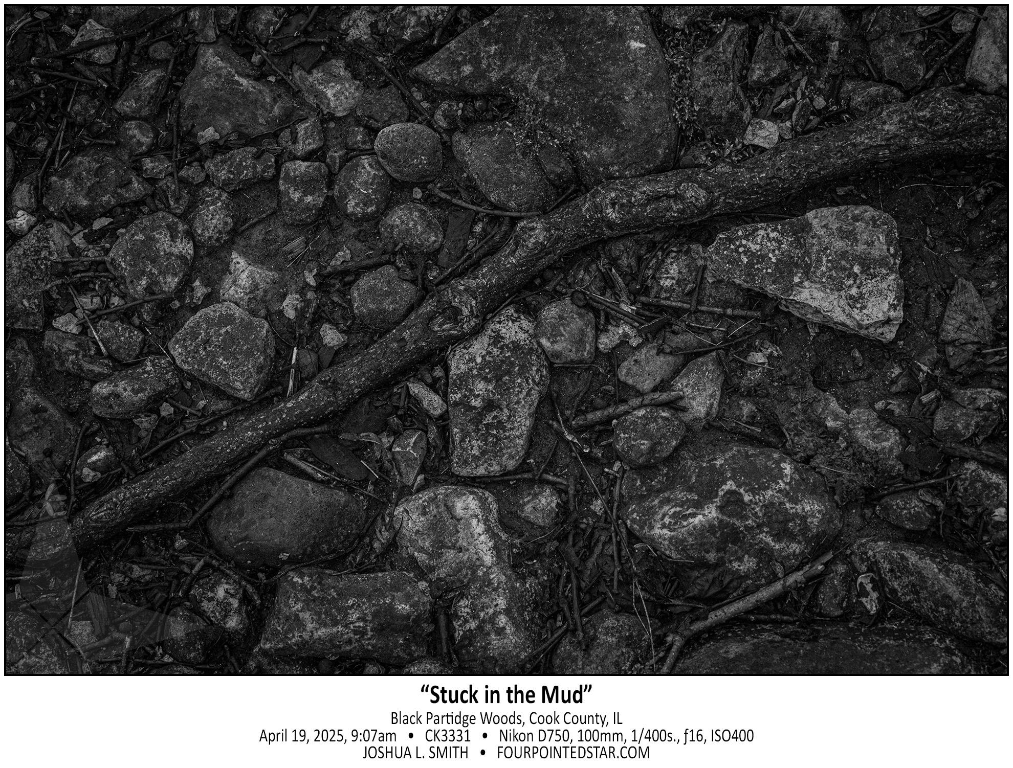 CK3331 250419 090730