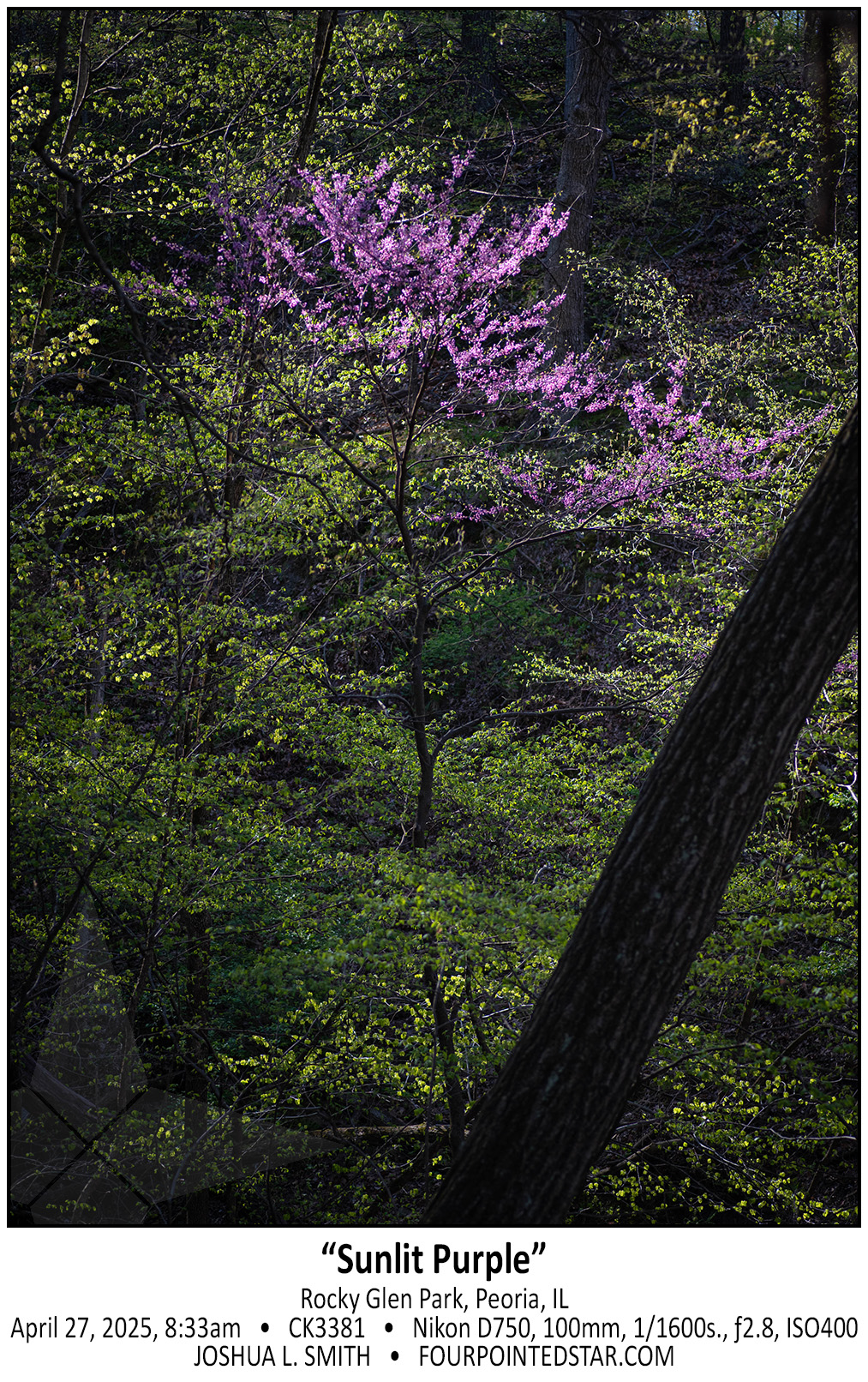 CK3381 250427 083357