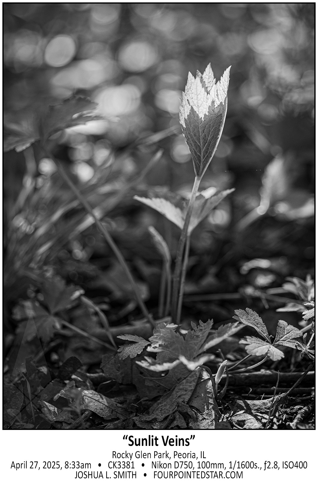 CK3389 250427 084441