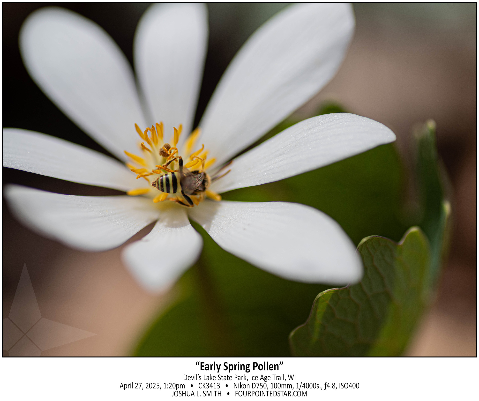 CK3413 250427 132001