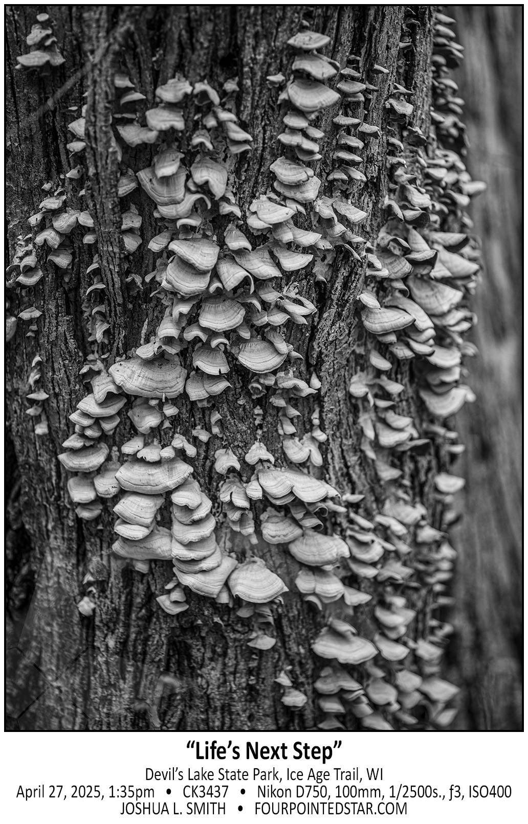 CK3437 250427 133526