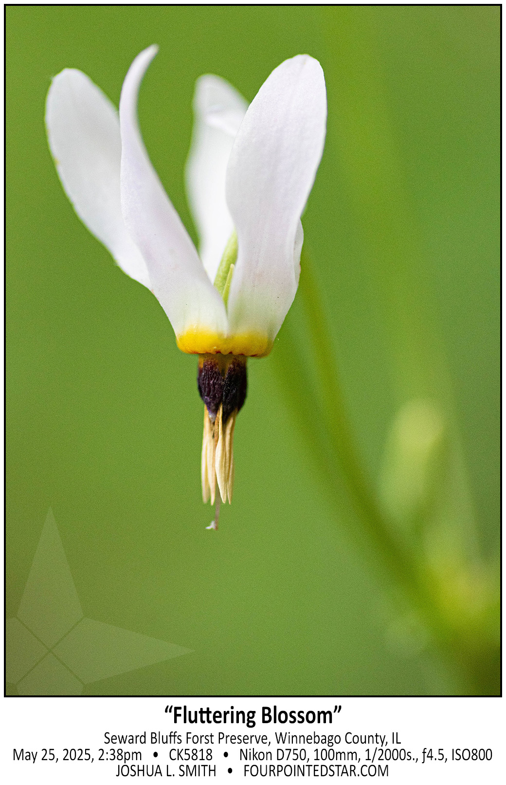 CK5818 250525 143817