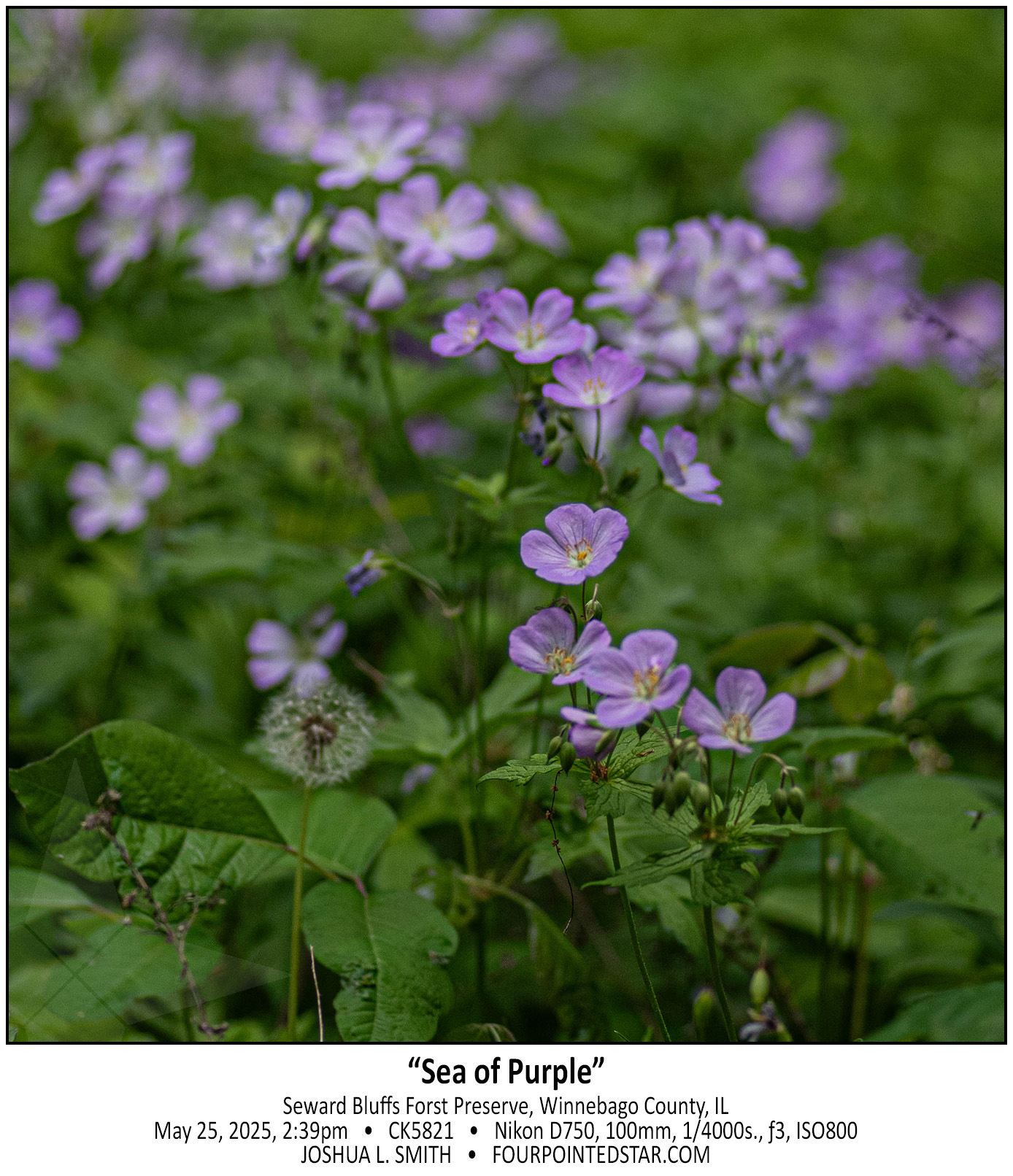 CK5821 250525 143918