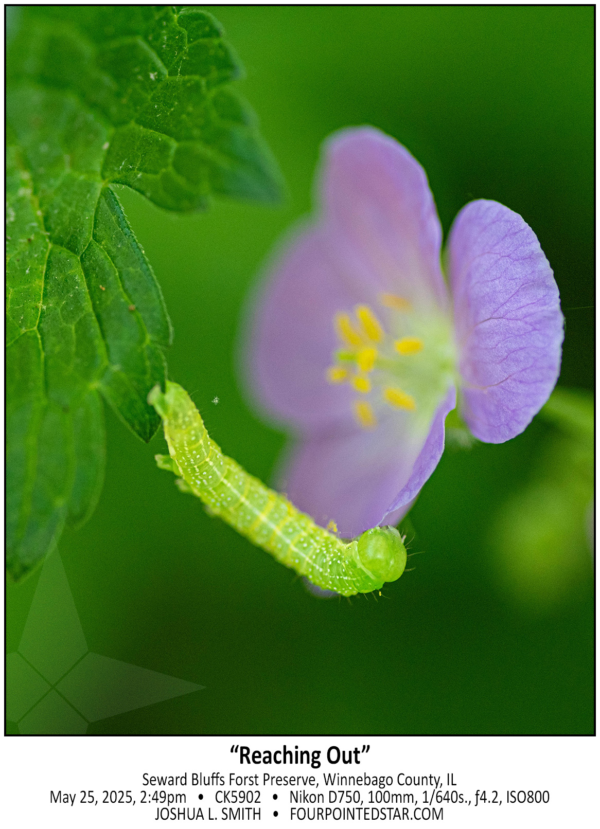 CK5902 250525 144905