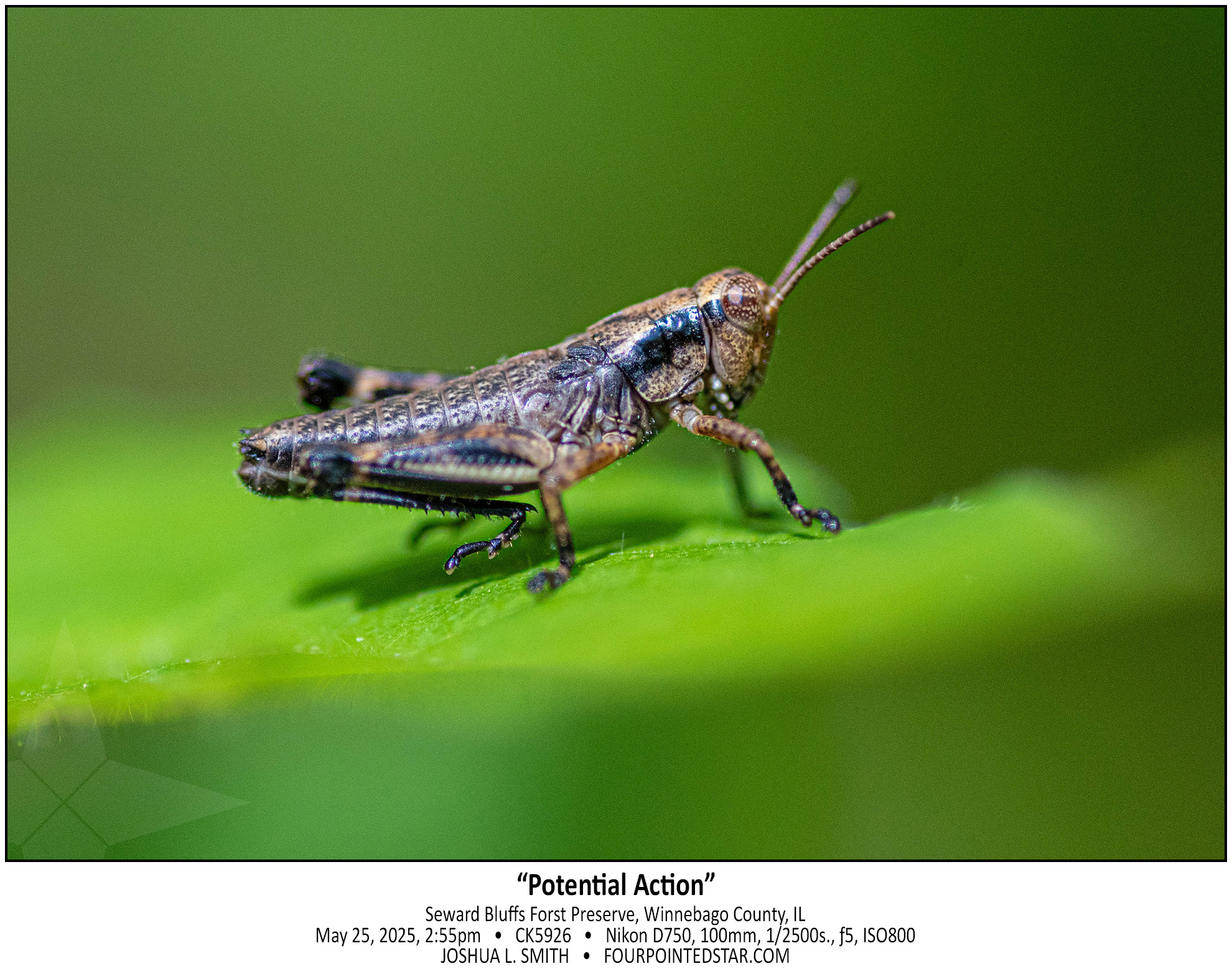 CK5926 250525 145514