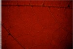 J4958 101610 173818