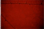 J4958 101610 173818
