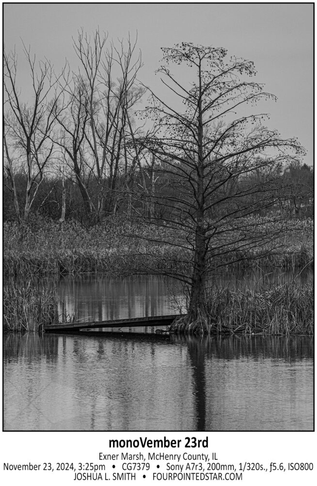 Pendul Reeds monoVember 23rd